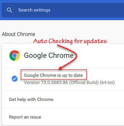 Auto checking for updates Google Update