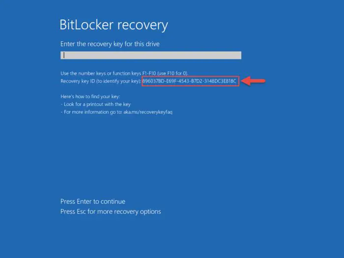 bitlocker identifier