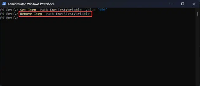 Delete variable in Env Drive