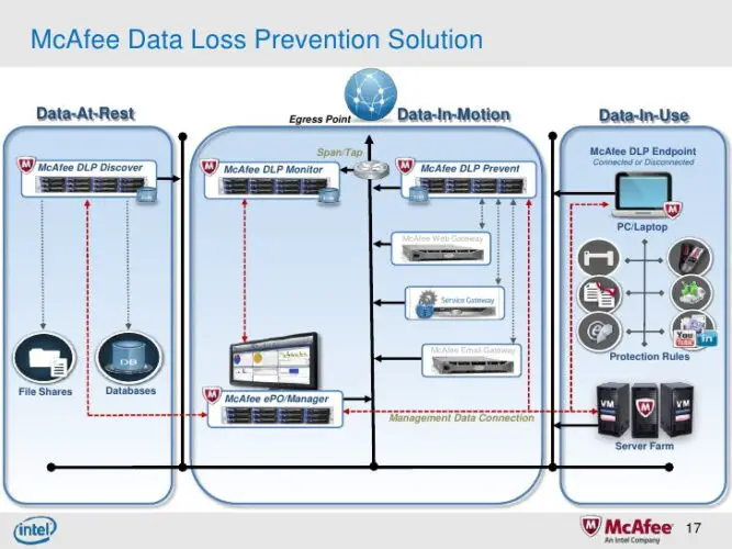 enterprise api security data loss prevention intel 17 728