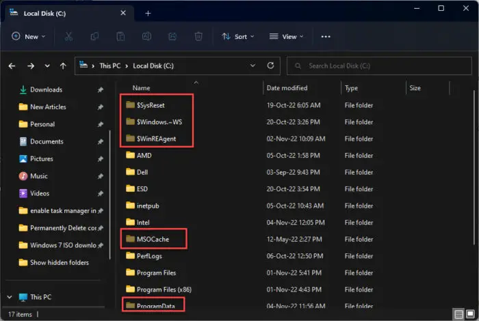 Hidden items showing in File Explorer