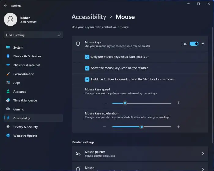 Mouse accessibility settings