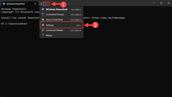 Open Terminal settings