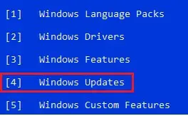 select windows updates