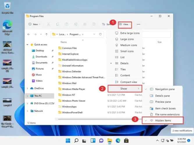 Show hidden files in Windows 11