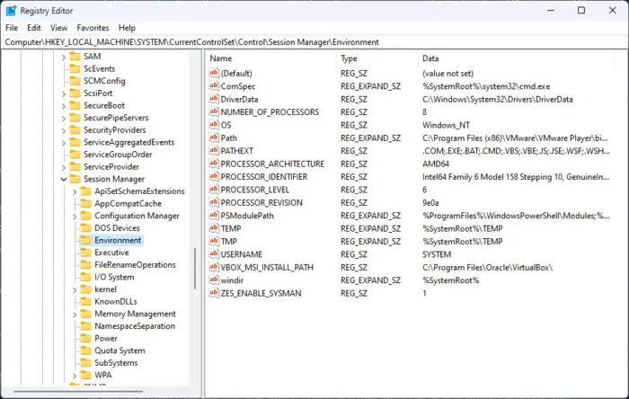 System environmental variables in Windows Registry