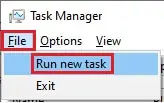 task manager run new task