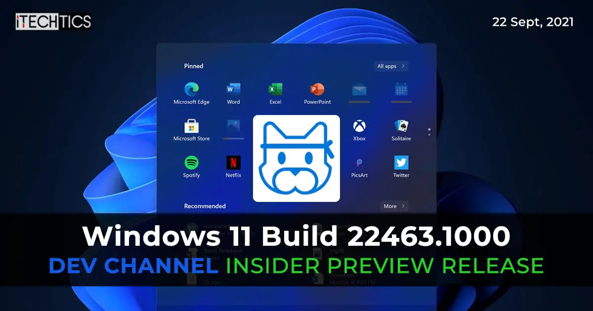 Windows 11 Build 22463 1000 Dev Channel Release